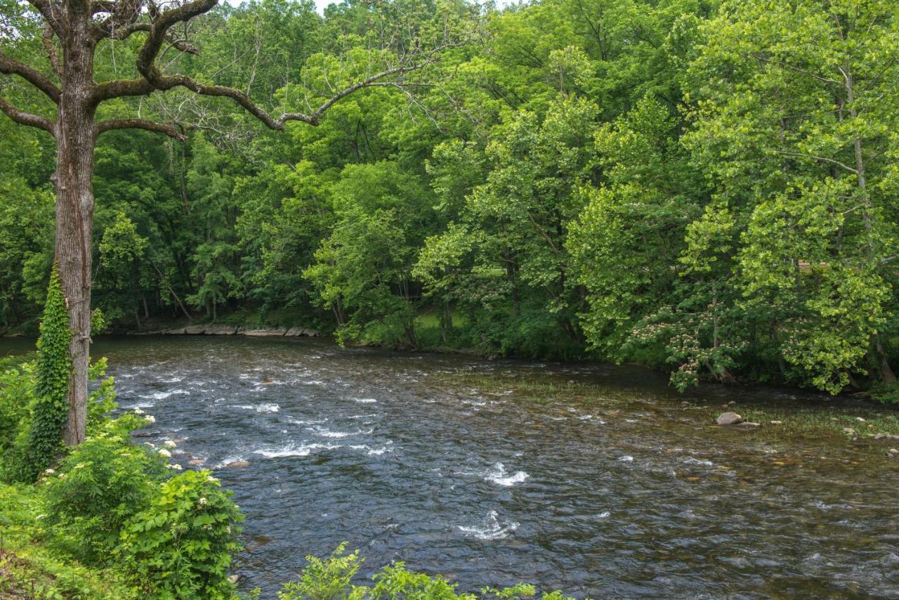 Little River Loft & Riverfront Gem Townsend Εξωτερικό φωτογραφία